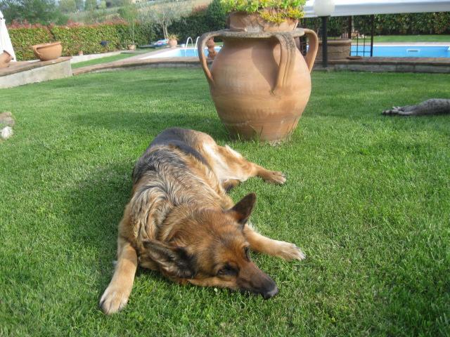Agriturismo Consalvi Valentina Marsciano Εξωτερικό φωτογραφία